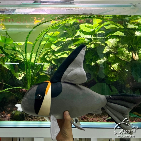 巨大化黑箭紅頭鼠玩偶絨毛娃娃