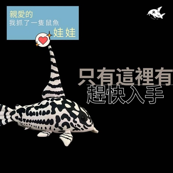 斑馬鼠大娃娃-玩偶絨毛娃娃